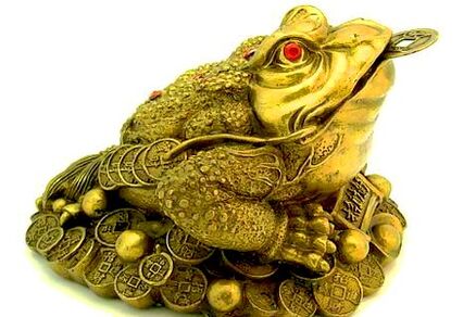 Diru Magic Toad