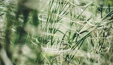 Nola egin zorte oneko amulet bat zure eskuekin